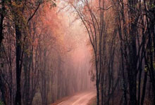 有哪些靠谱的网球免费观看直播平台?